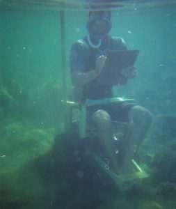 sebastian grabowski instalatie desen subacvatic