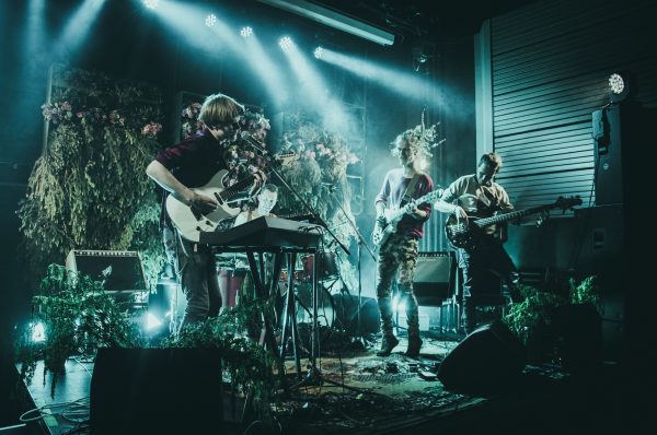 Garbanotas Bosistas. Nuotr. Siiri Kumari -