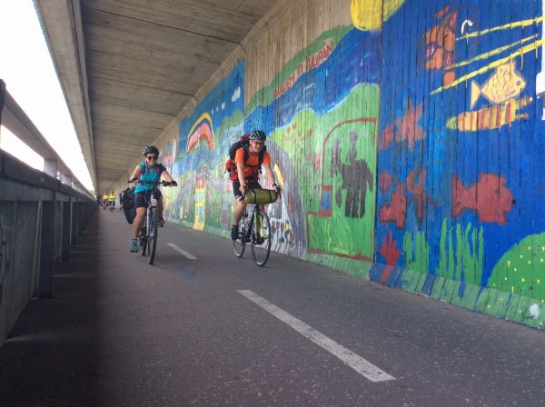 eco ambasadori internationali