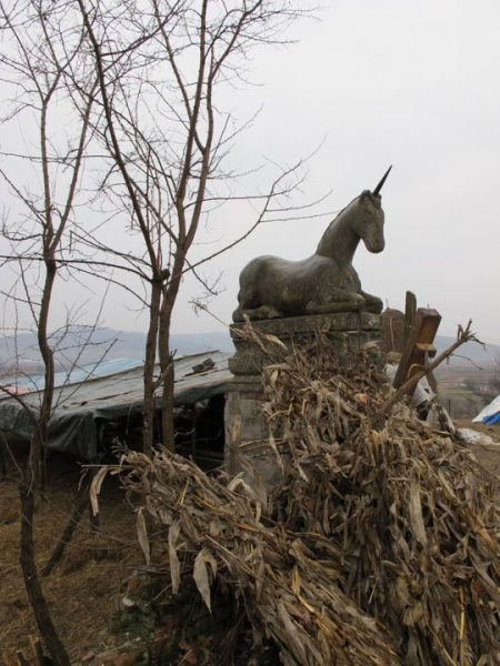 188236_1913200432029_3446369_n