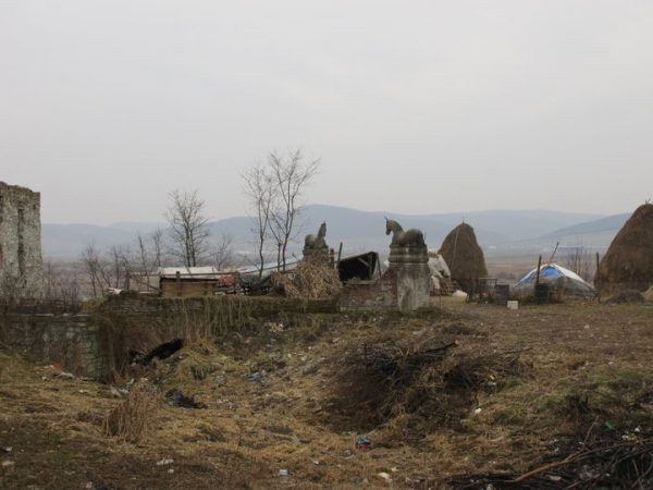 189218_1913199352002_3954055_n