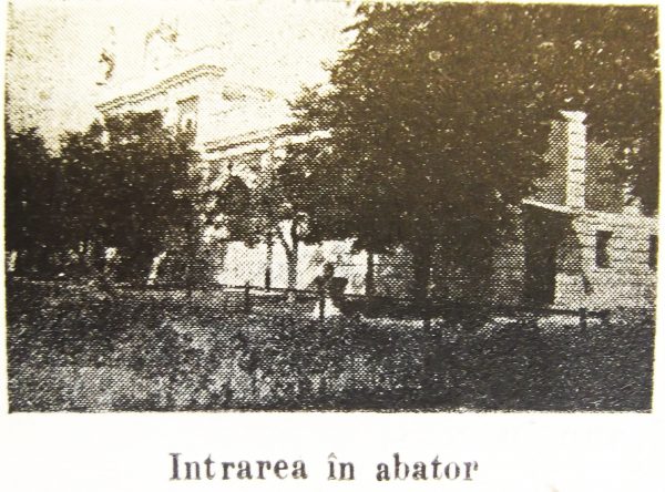 intrarea-in-abator